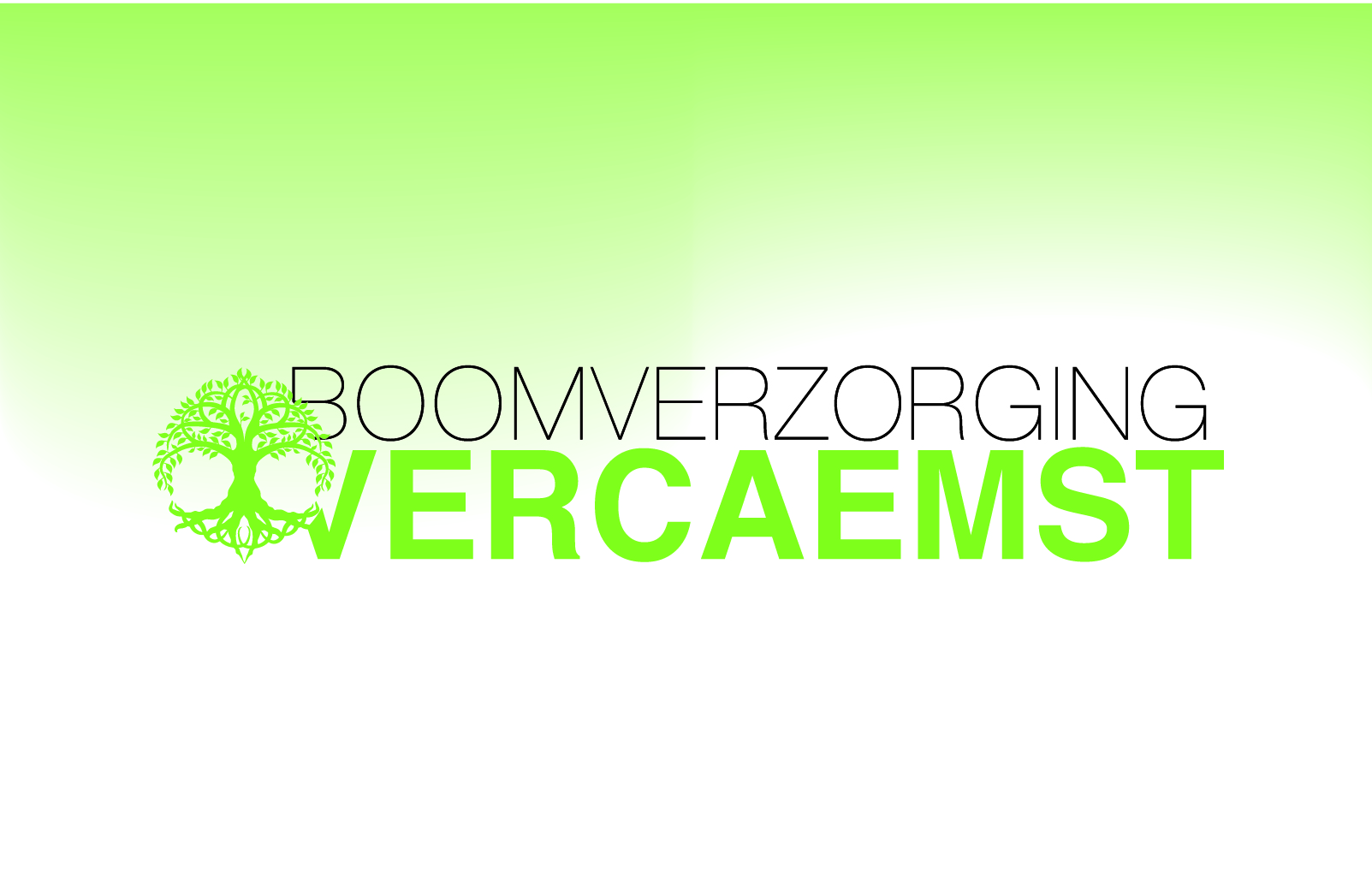 terrasaanleggers Wielsbeke Boomverzorging Vercaemst