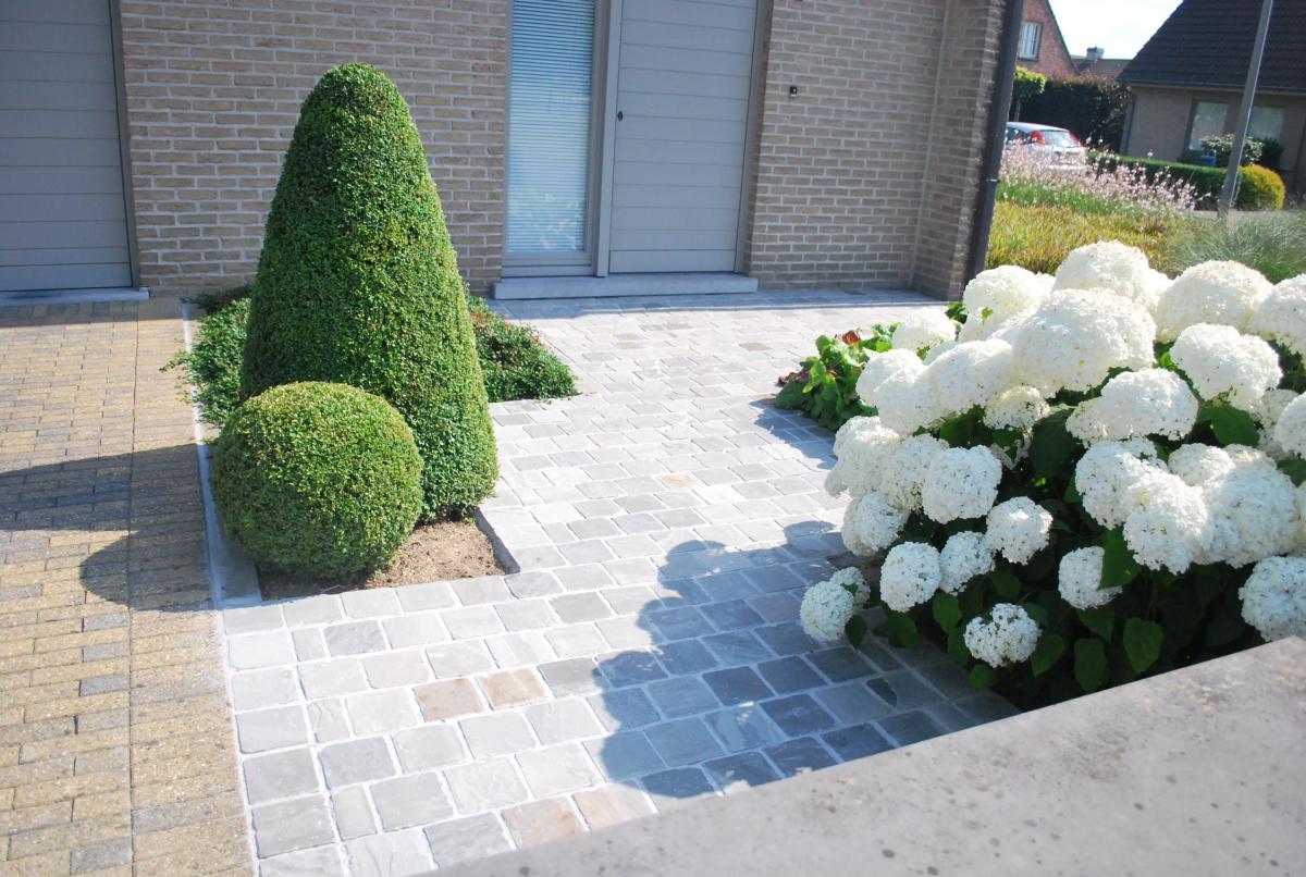 terrasaanleggers Asper VDB Tuin en Bouw